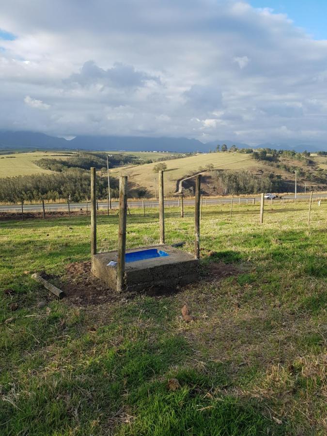 Glentana Hartsklop Guest Farm Bed & Breakfast エクステリア 写真